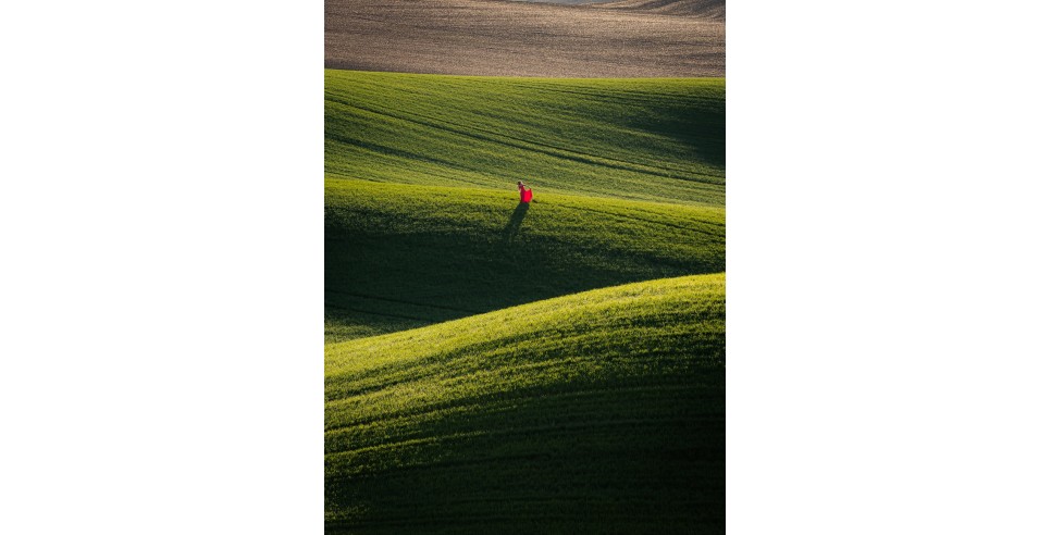 photo of Palouse by David de Graaf photo of Palouse by David de Graaf